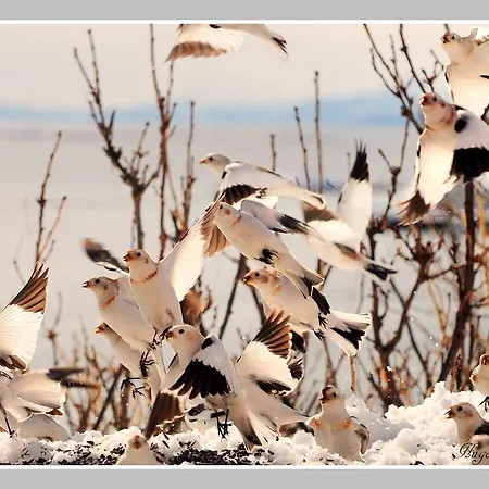 Hotel Senja Fjordhotell And 3*