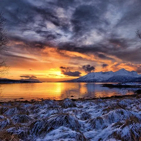 Senja Fjordhotell And Stonglandseidet