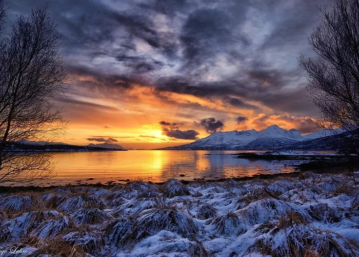 Senja Fjordhotell And Stonglandseidet
